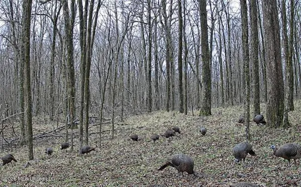 $285,240 | Franklin Drive, Batesville, MS 38606