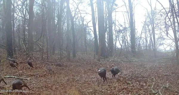 $285,240 | Franklin Drive, Batesville, MS 38606