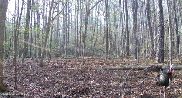 $285,240 | Franklin Drive, Batesville, MS 38606