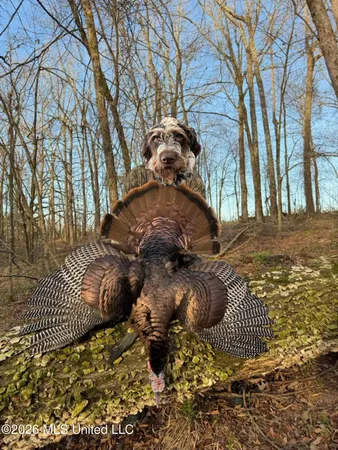 $285,240 | Franklin Drive, Batesville, MS 38606