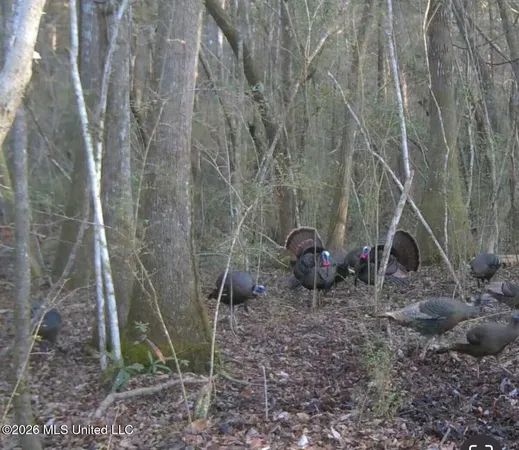 $285,240 | Franklin Drive, Batesville, MS 38606