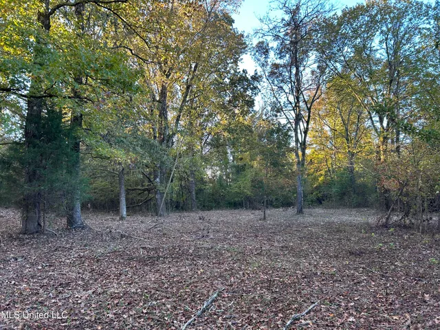 $316,883 | Franklin Drive, Batesville, MS 38606