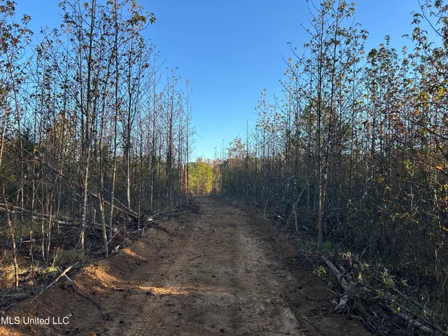 $316,883 | Franklin Drive, Batesville, MS 38606