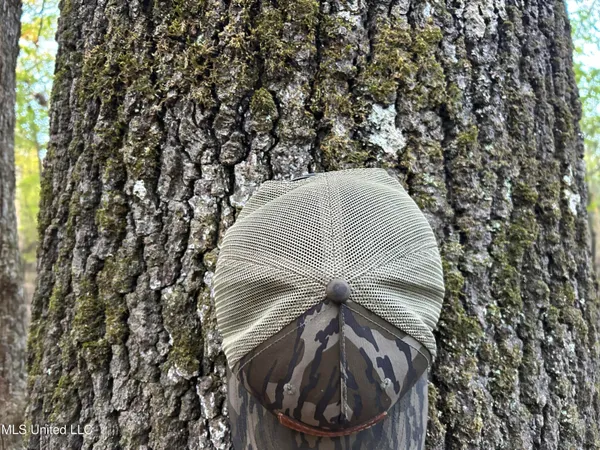 $285,240 | Franklin Drive, Batesville, MS 38606