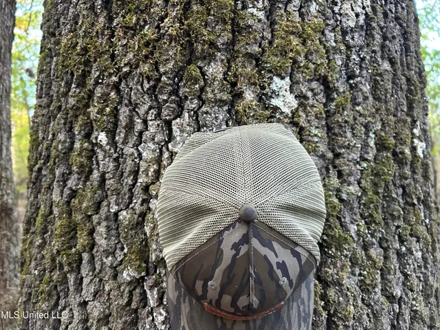 $316,883 | Franklin Drive, Batesville, MS 38606