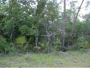 Lot 16 Southwest Lot Place Ocala, FL 34473 - Photo 1 of 1 Primary Photo