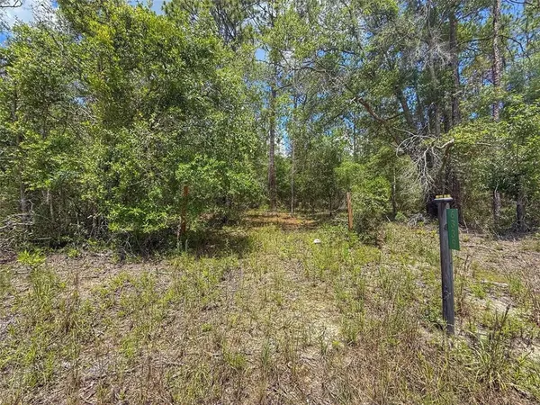 $39,000 | 6339 Northwest 17th Court, Bell, FL 32619