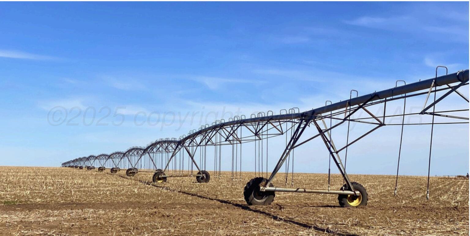 Screenshot 2025-04-02 at 1.22.00 PM