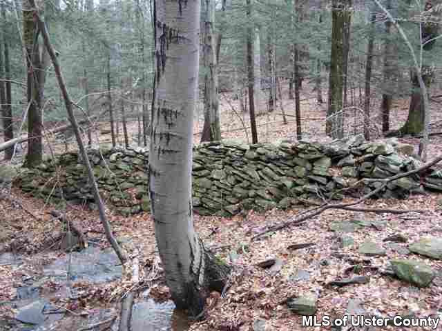0 Cold Brook Road Bearsville, NY 12409 - Photo 3 of 4 Photo 4