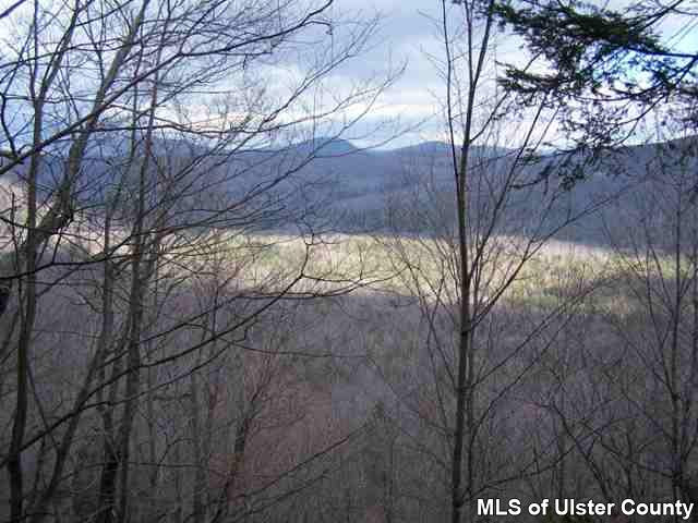 0 Cold Brook Road Bearsville, NY 12409 - Photo 4 of 4 Photo 5