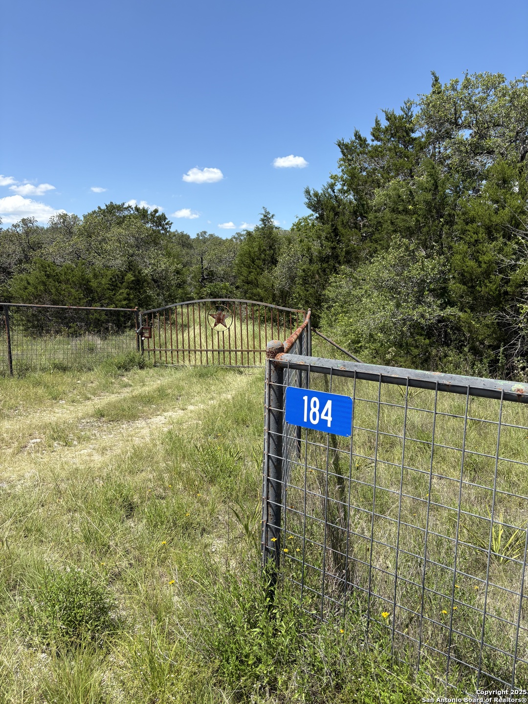 184 Peyton Colony Road Blanco, TX 78606 - Photo 4 of 33
