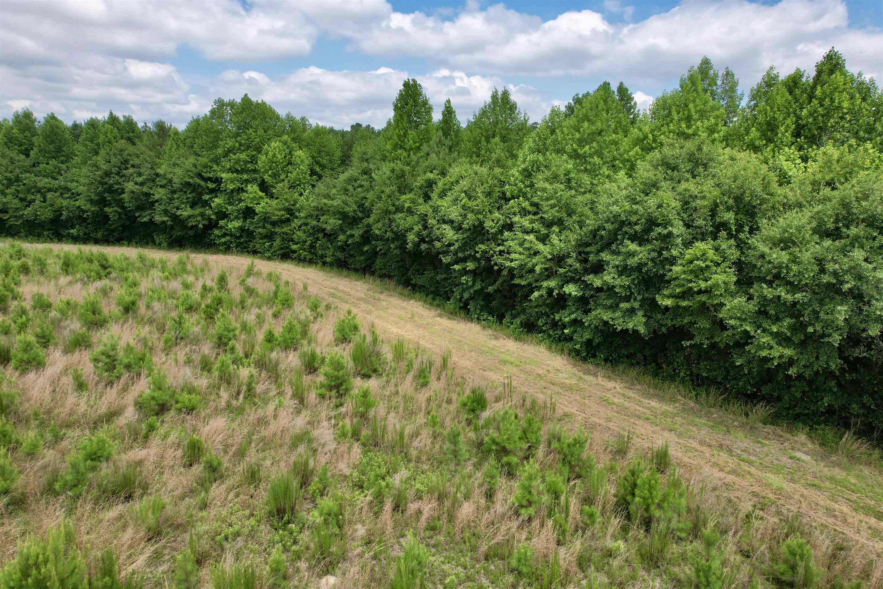 0 Powell Rd Green Green Sea, SC 29545 - Photo 25 of 72