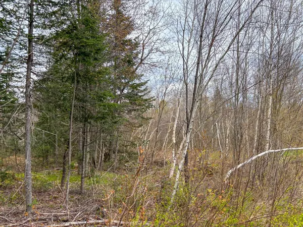 $110,000 | 0 Atwood Drive, Unit 2, Island Pond, VT 05846