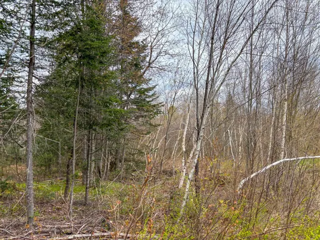 $110,000 | 0 Atwood Drive, Unit 2, Island Pond, VT 05846