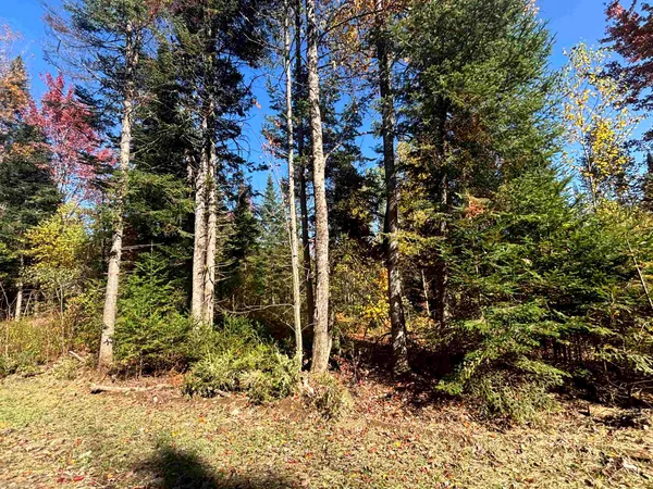 $110,000 | 0 Atwood Drive, Unit 2, Island Pond, VT 05846