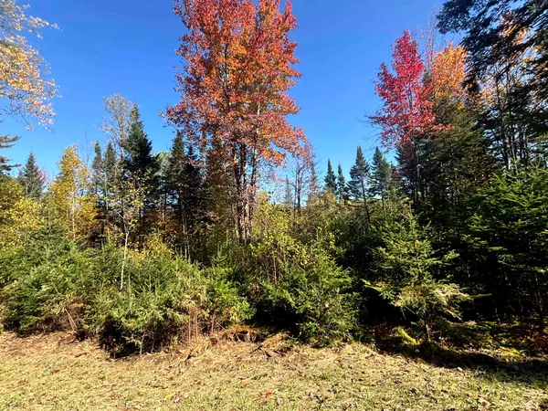 $110,000 | 0 Atwood Drive, Unit 2, Island Pond, VT 05846