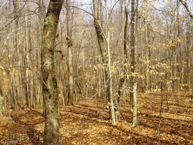 Lot 10 Morning Glory Road Madison, NC 27025 - Photo 2 of 3 Other.