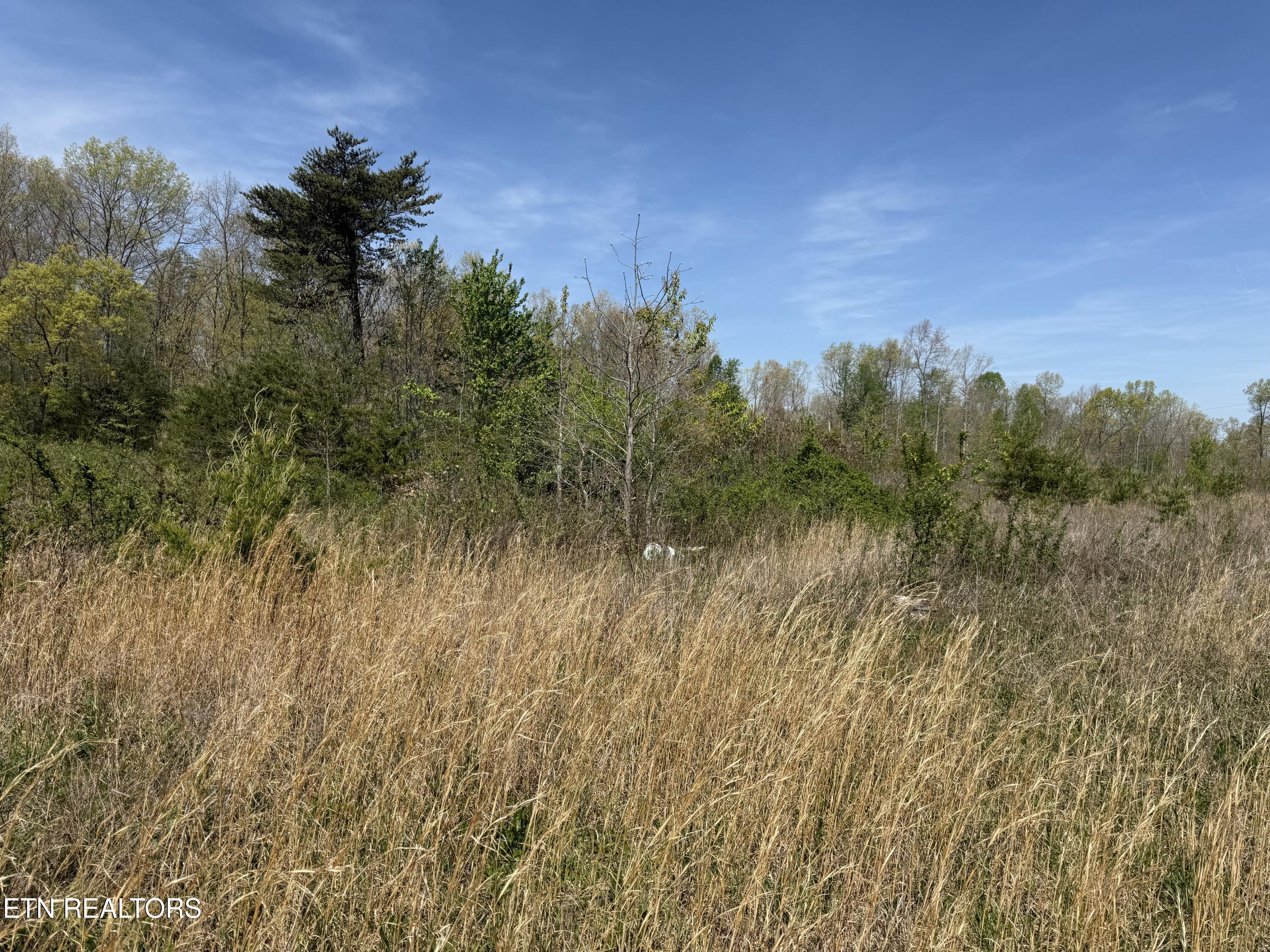 0 Conley Road Crossville, TN 38571 - Photo 22 of 24 CONLEY 9