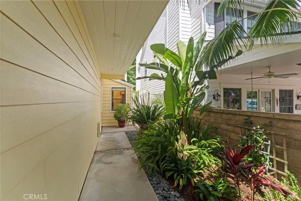 a potted plant sitting in front of a house