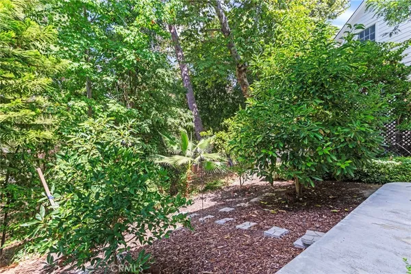 a view of a garden with plants