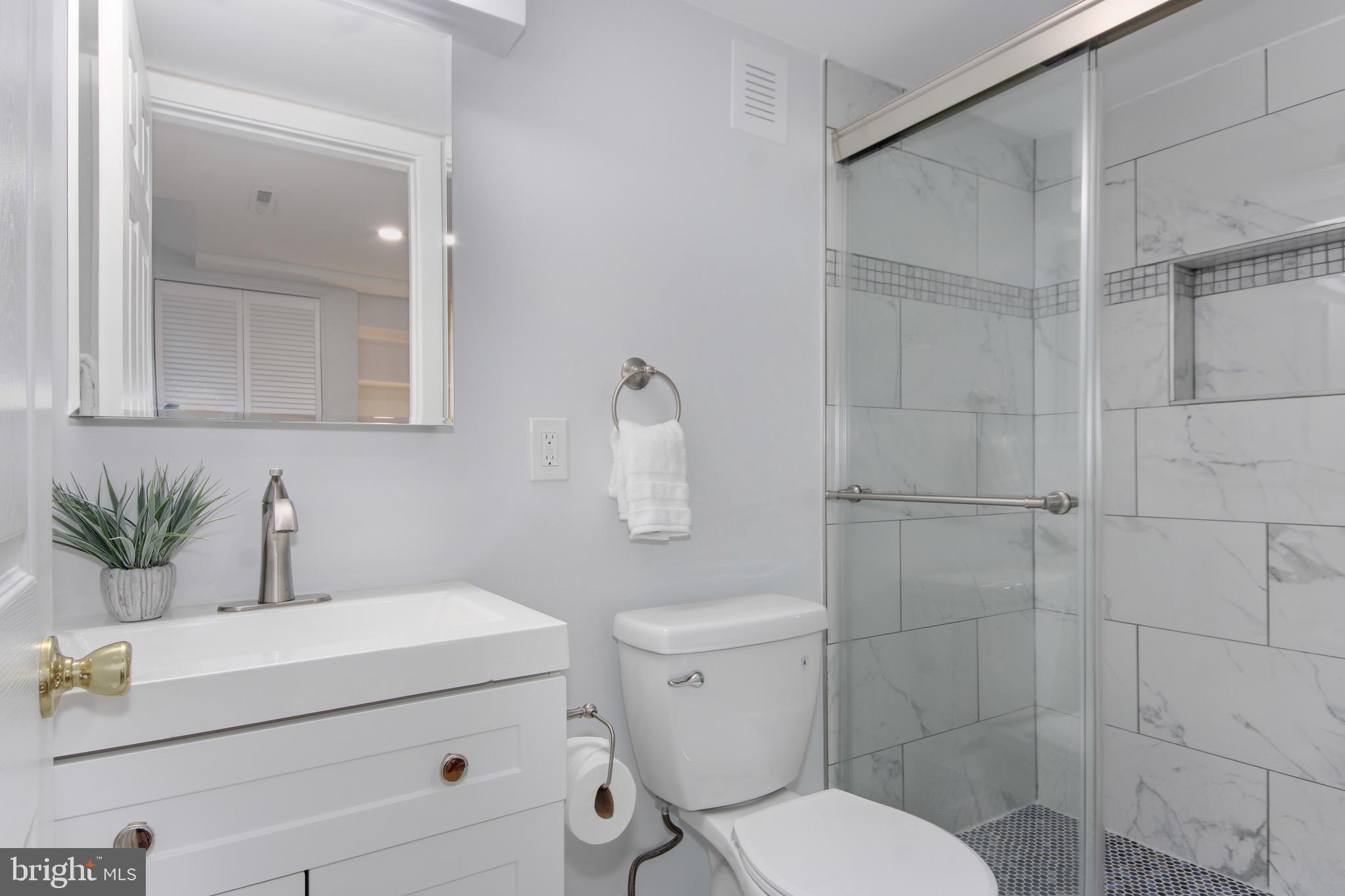 729 3rd Street Southwest Washington, DC 20024 - Photo 18 of 33 Basement full bathroom with walk-in shower