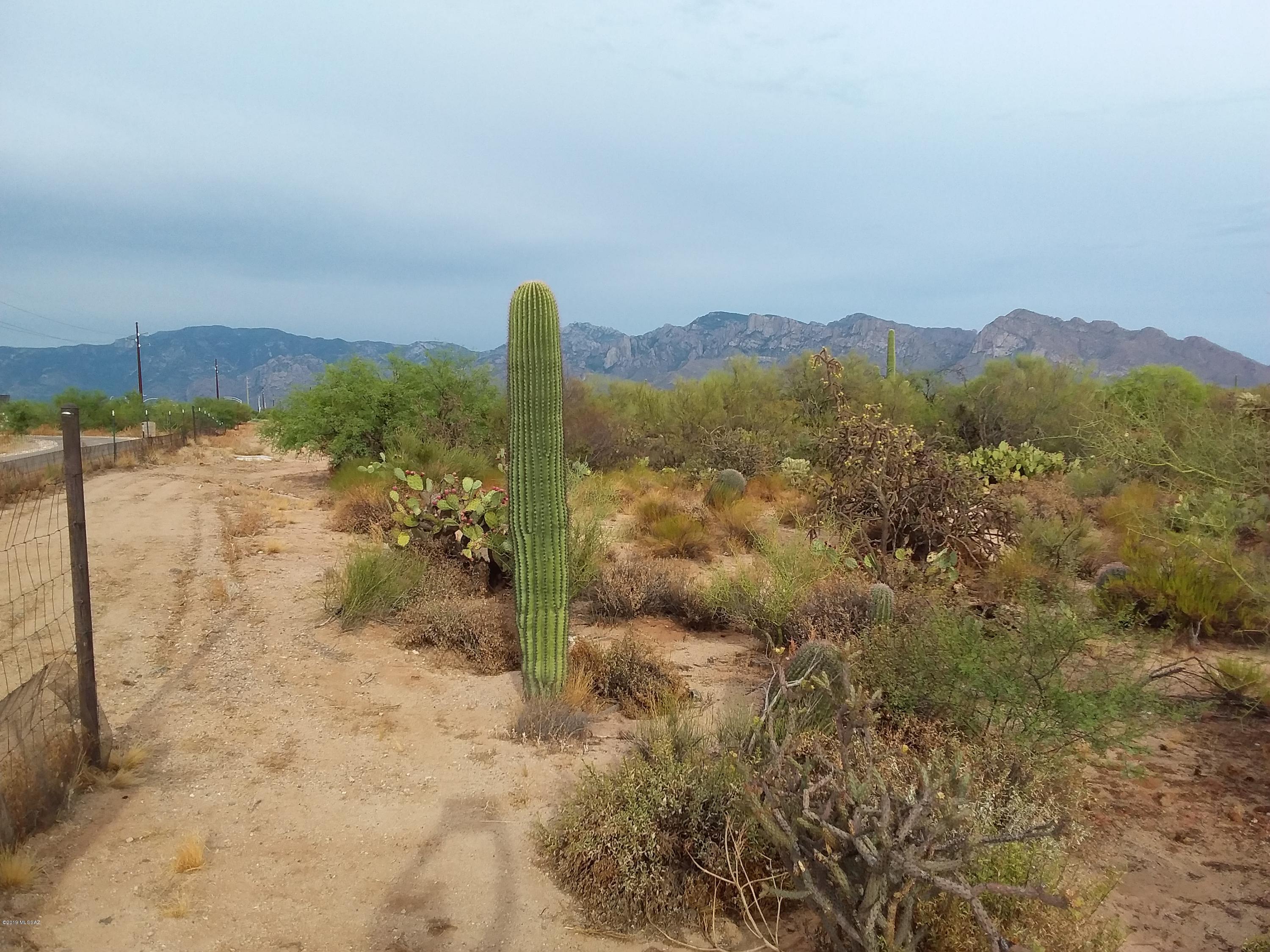 2315 West Tangerine Road Tucson, AZ 85742 - Photo 25 of 27