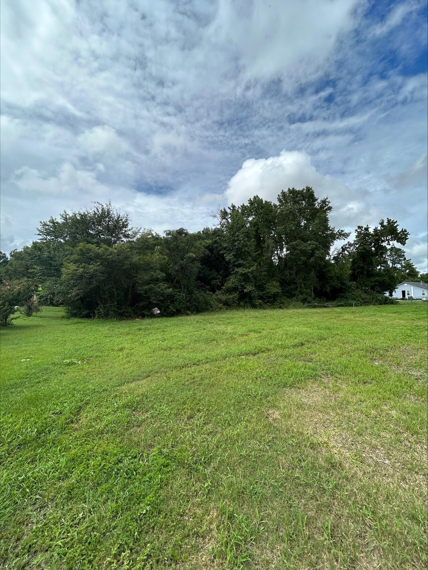 0 Hall St Extension Summerton, SC 29148 - Photo 2 of 12 processed-114C4A43-E0AB-4C08-9AE2-4B4945