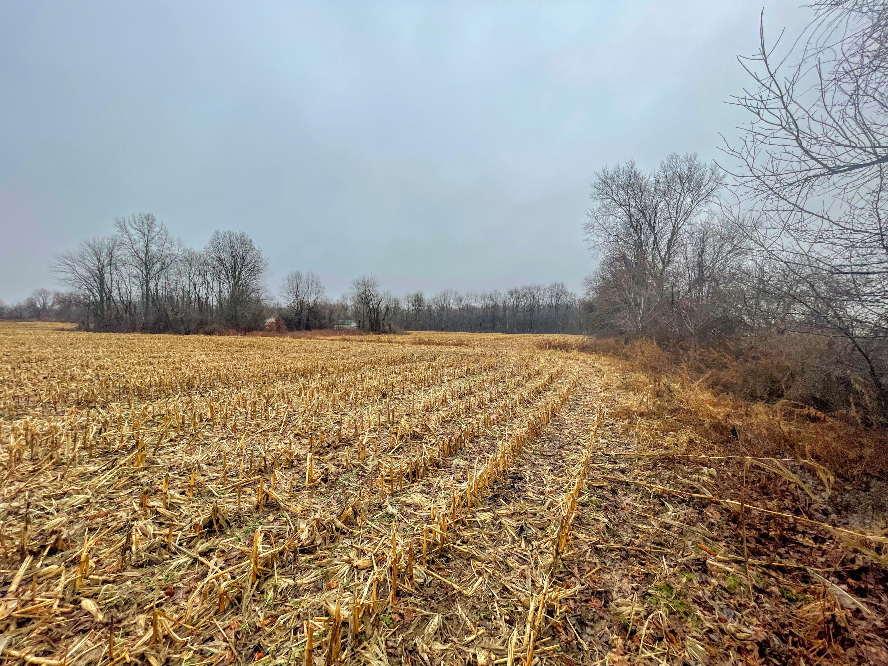 0 York Road Southwest Pataskala, OH 43062 - Photo 10 of 22 3