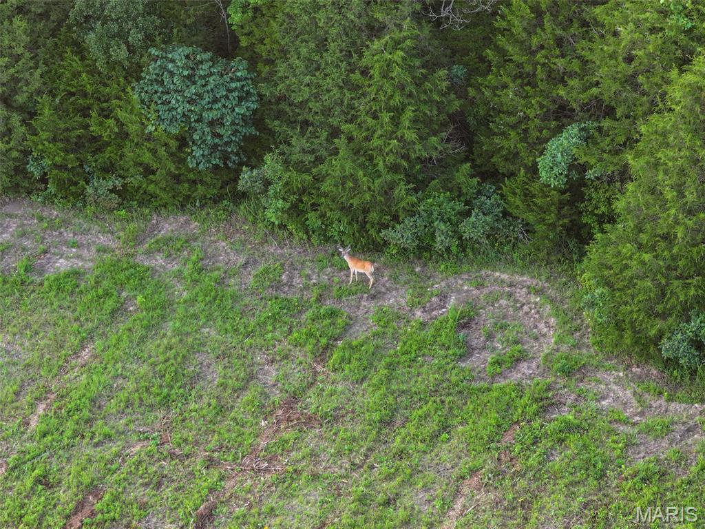 2 Highland Fling Road Sullivan, MO 63080 - Photo 11 of 16