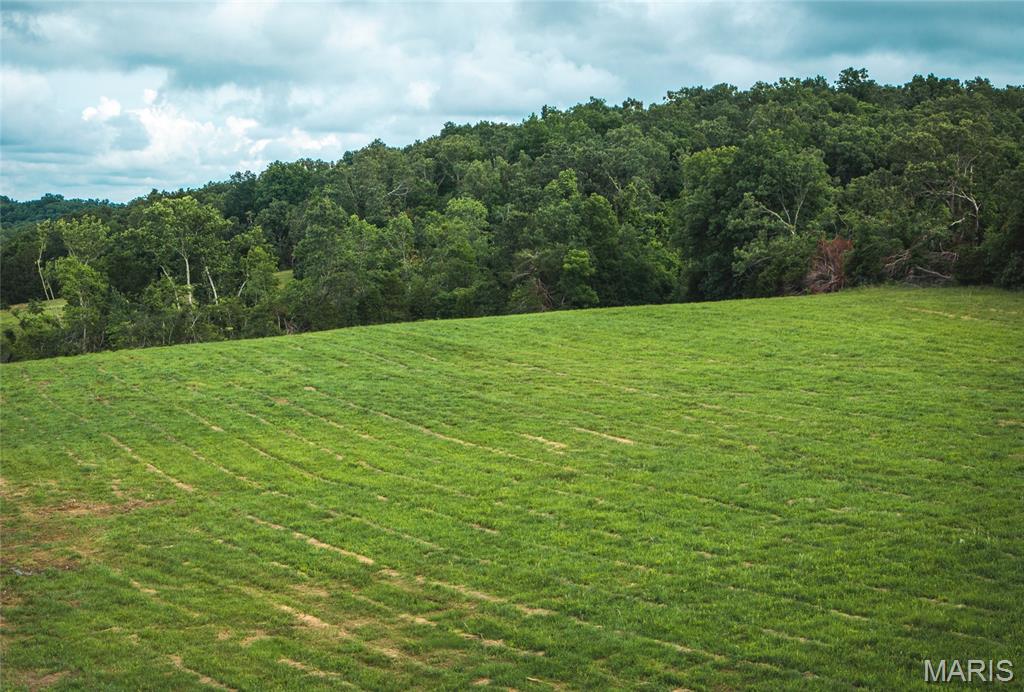 2 Highland Fling Road Sullivan, MO 63080 - Photo 9 of 16