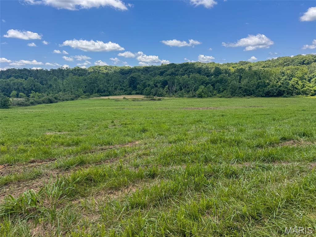 2 Highland Fling Road Sullivan, MO 63080 - Photo 10 of 16
