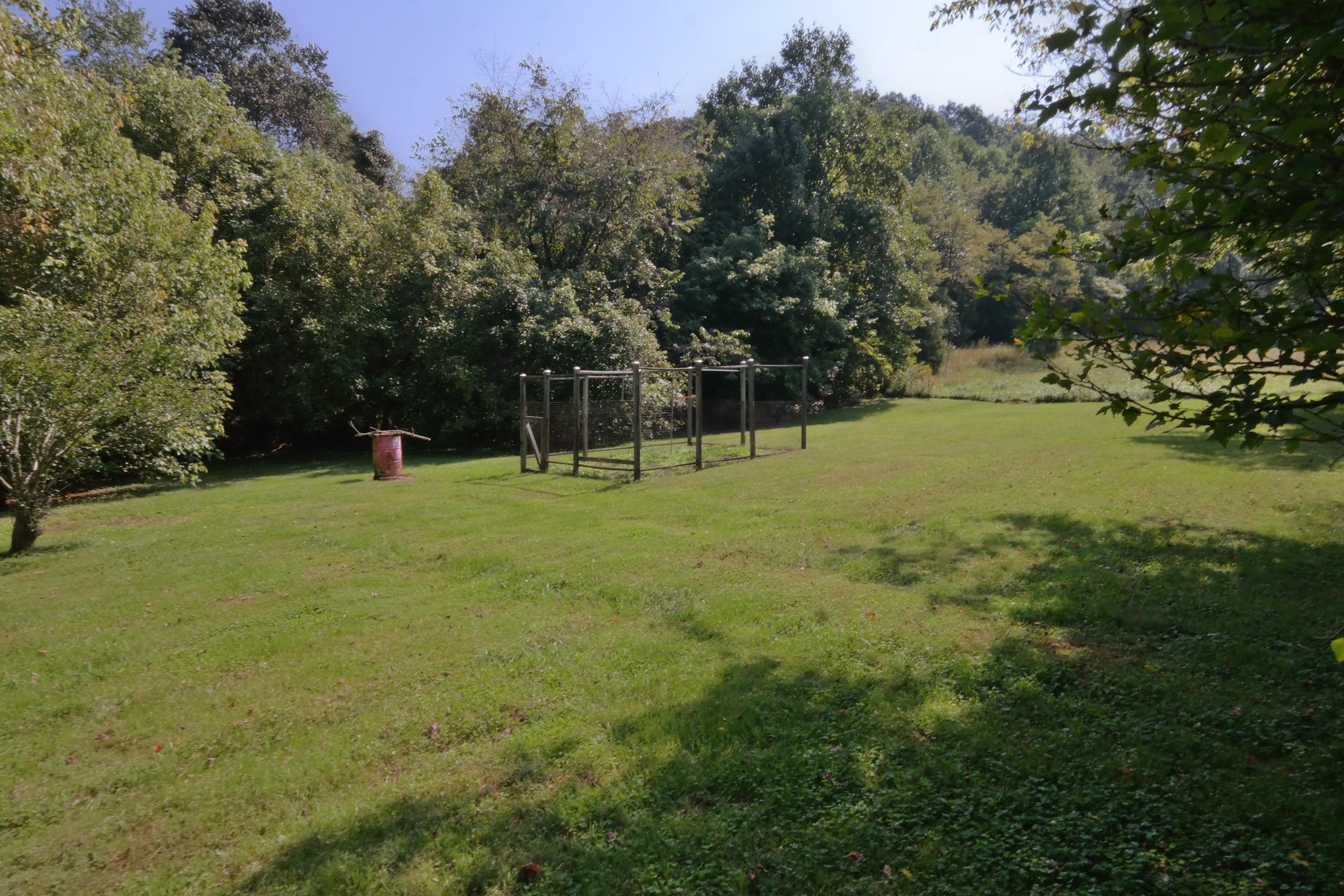 291 Hardbarger Road Buchanan, VA 24066 - Photo 20 of 22 Yard