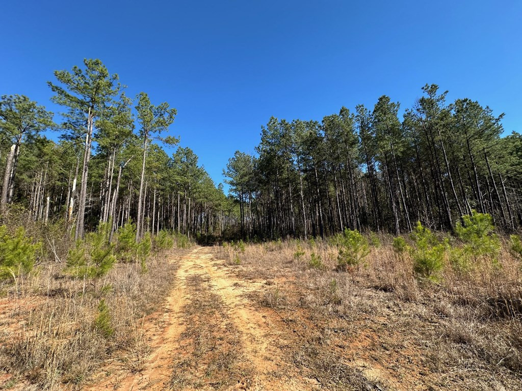 1 Floyd Rowzee Union, MS 39365 - Photo 9 of 14 Photo 9