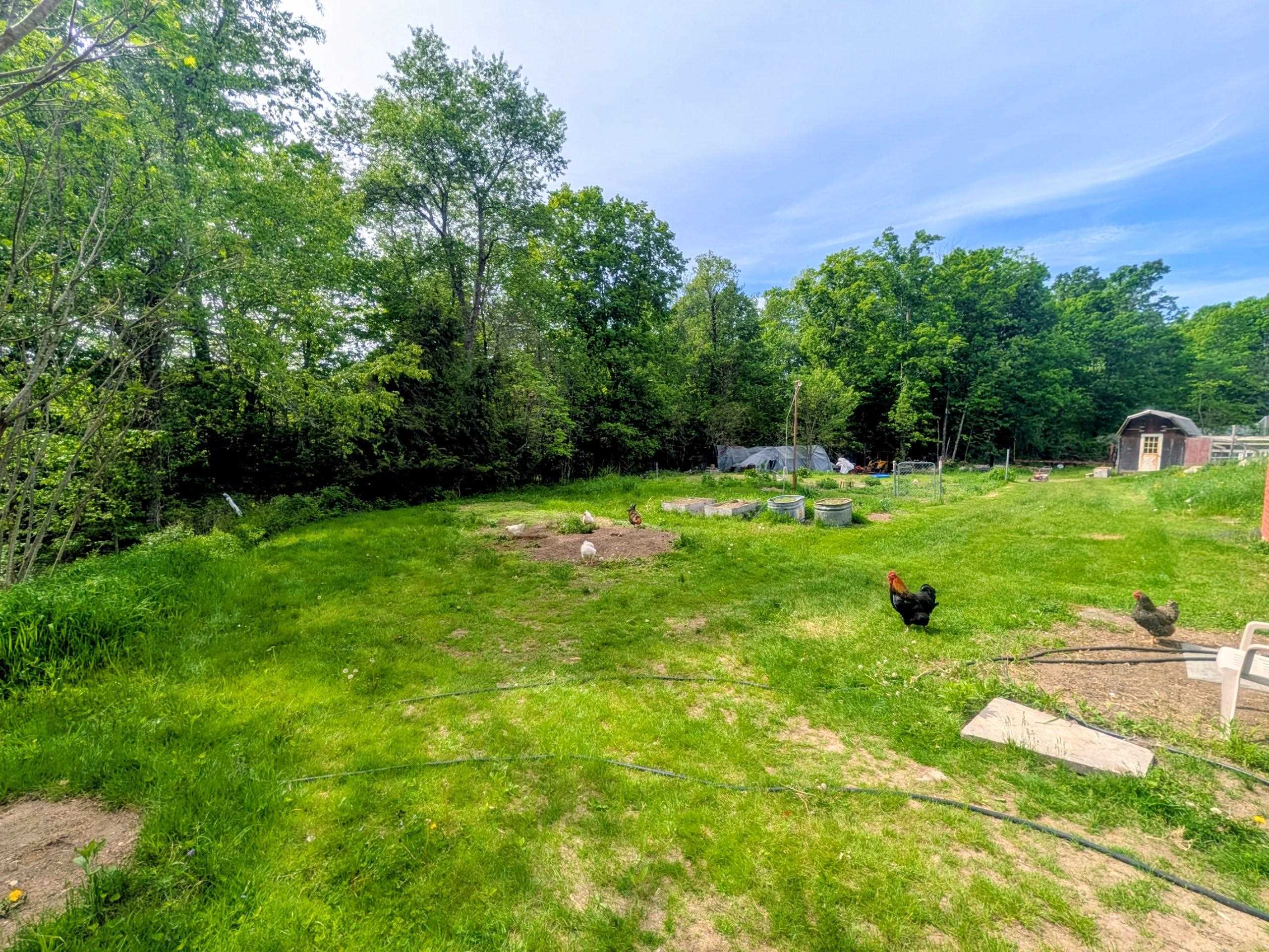 40 Old Deerfield Road Candia, NH 03034 - Photo 45 of 54