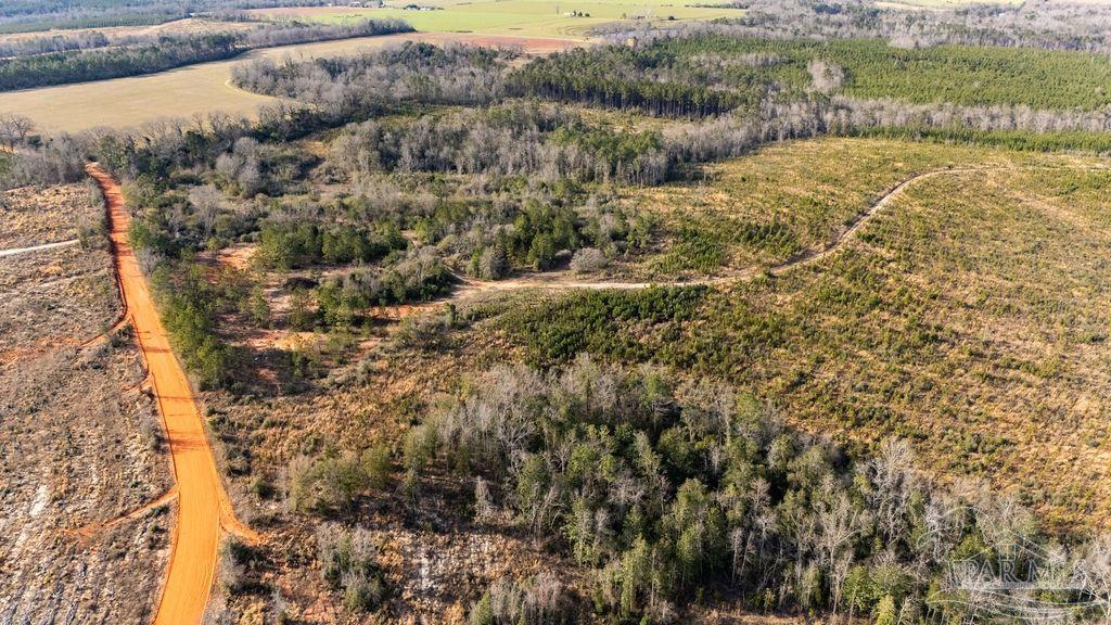 18 Polktown Road Jay, FL 32565 - Photo 16 of 39