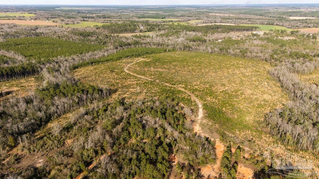 18 Polktown Road Jay, FL 32565 - Photo 9 of 39