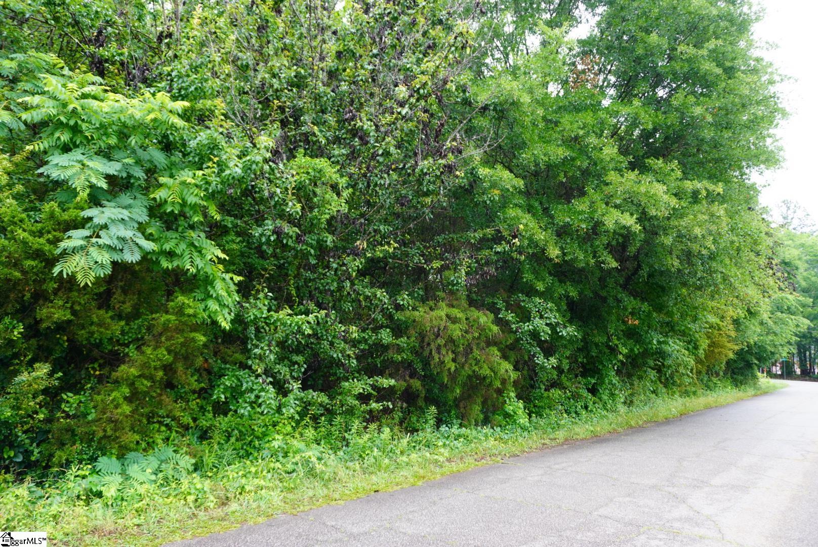 175 Stewart Lake Road Pelzer, SC 29669 - Photo 3 of 18
