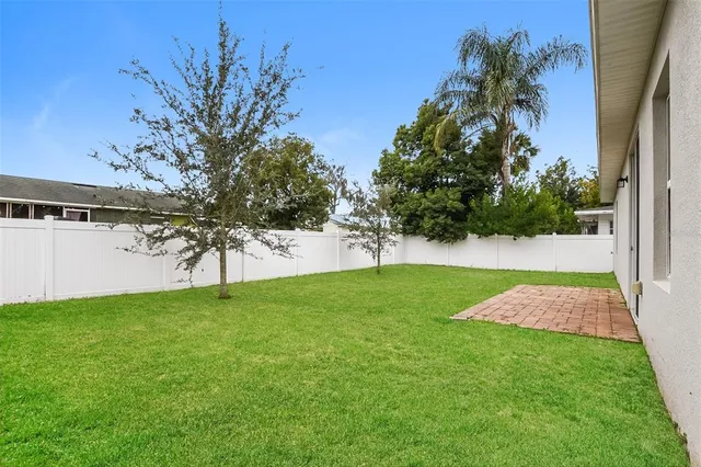 a view of yard with tree s