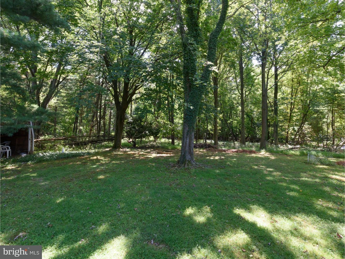 19 Line Road Malvern, PA 19355 - Photo 23 of 25 View in Back