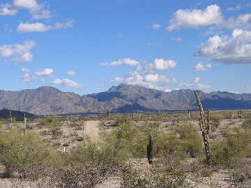 19100 West Pecos Road Buckeye, AZ 85326 - Photo 1 of 1 Primary Photo