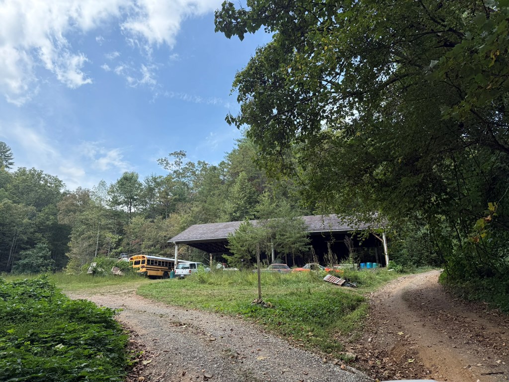0 Mundy Road Marble, NC 28905 - Photo 2 of 12 a view of a backyard with potted plants and large trees