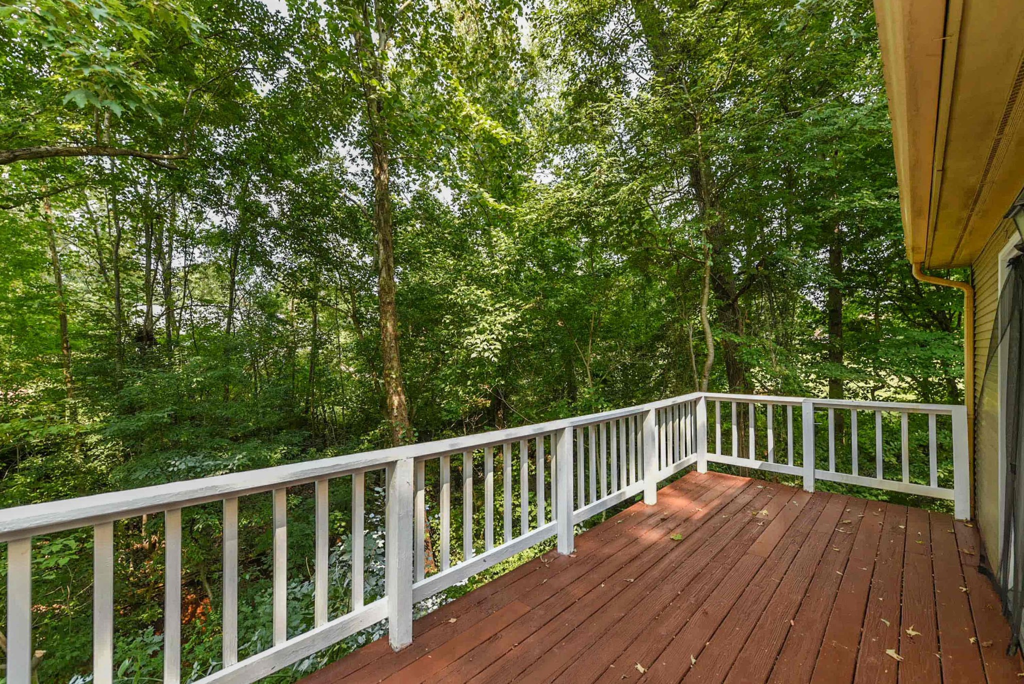 793 Lake Ridge Court Springfield, TN 37172 - Photo 6 of 29 Gallery Image 6