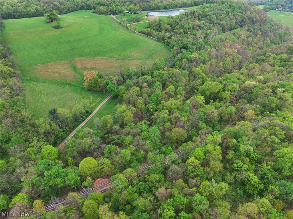 0 Bealls Ridge Wellsburg, WV 26070 - Photo 9 of 46