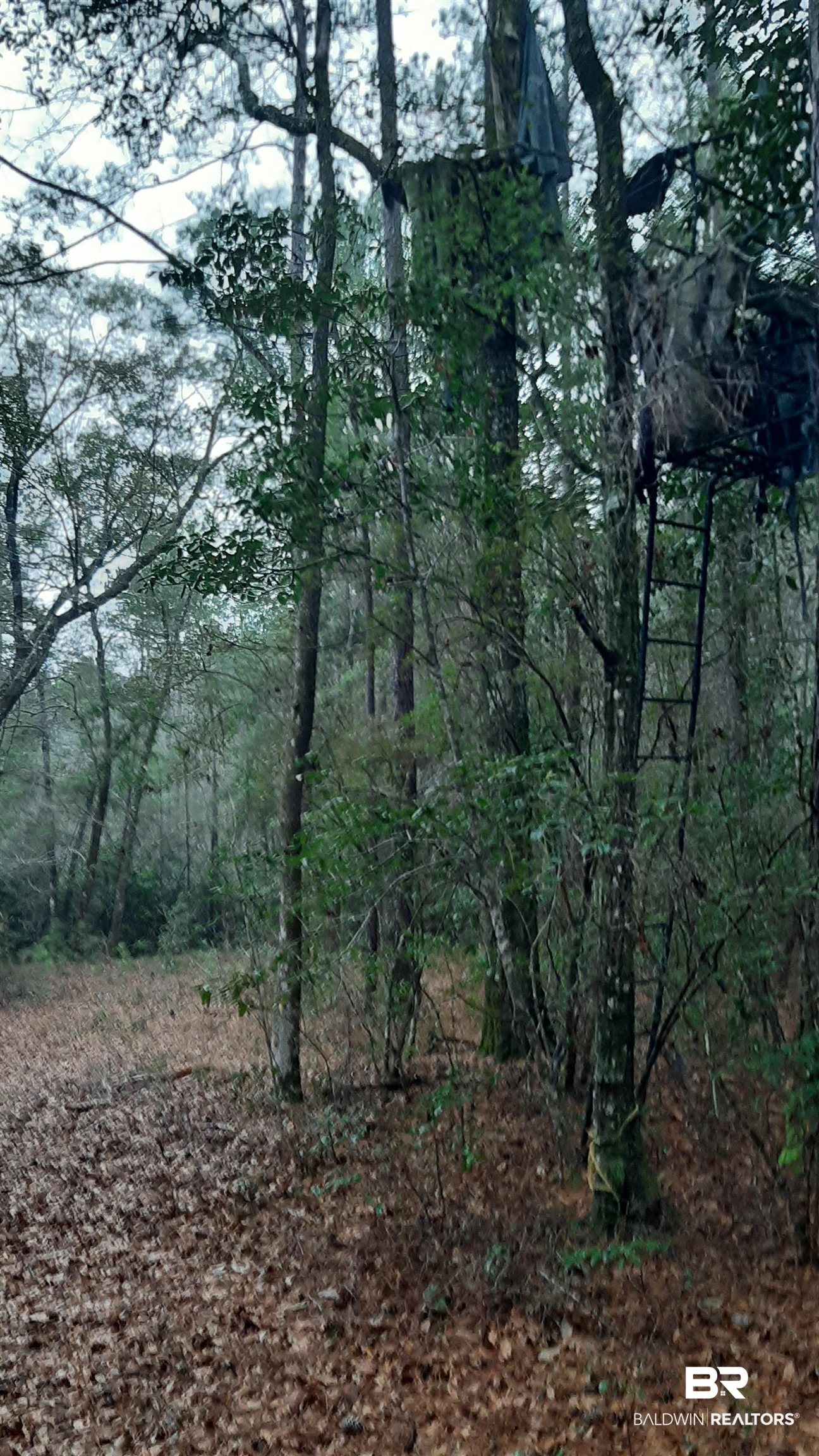 11375 Spring Lake Road Chunchula, AL 36521 - Photo 20 of 26