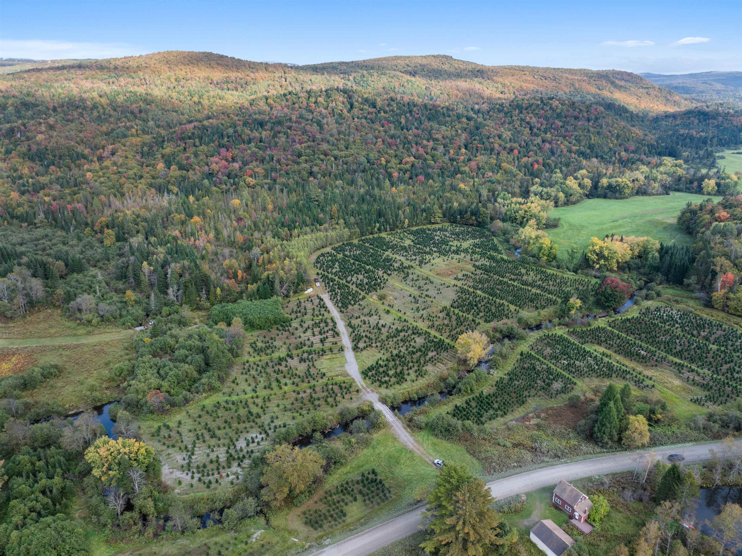 92 Bishop Brook Road Stewartstown, NH 03576 - Photo 35 of 51