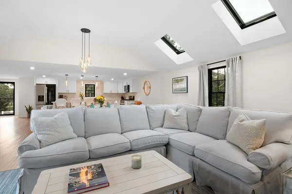 a living room with furniture and a potted plant