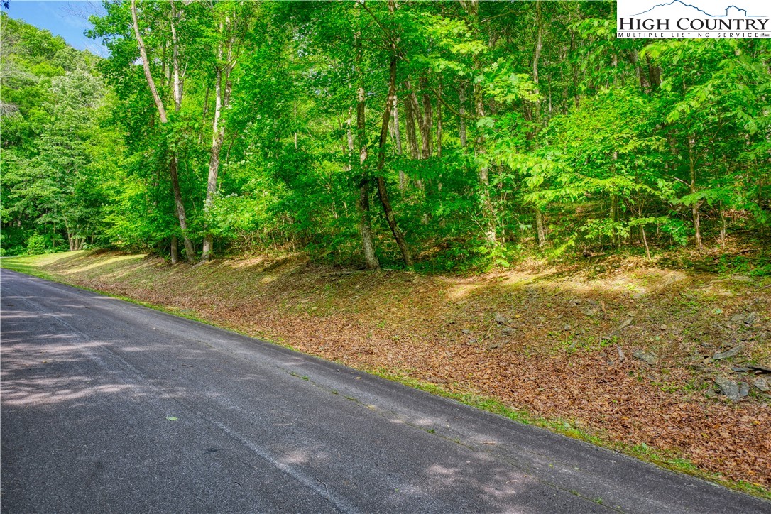 Lot 28 Quail Ridge Drive Fleetwood, NC 28626 - Photo 5 of 8 a backyard of a house with lots of green space