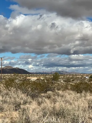 a view of a large body of water with lots of trees