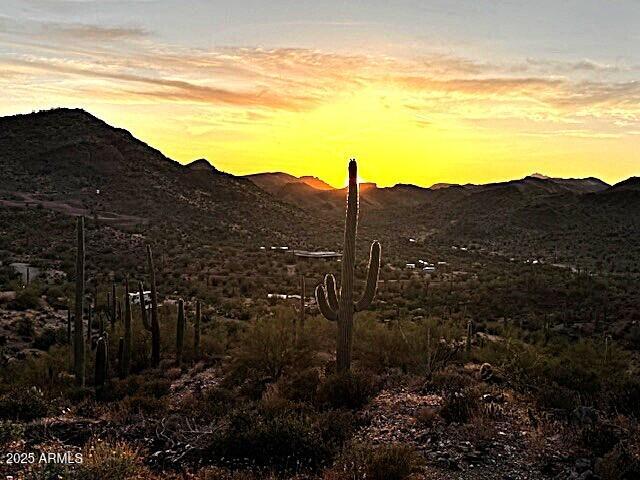0 Elephant Butte Road Gold Canyon, AZ 85118 - Photo 15 of 15 a view of a mountain with a field