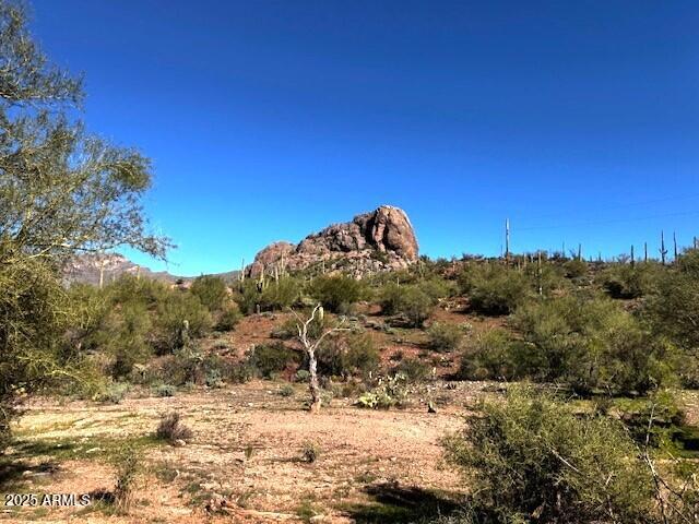 0 Elephant Butte Road Gold Canyon, AZ 85118 - Photo 2 of 15 a view of a dry yard